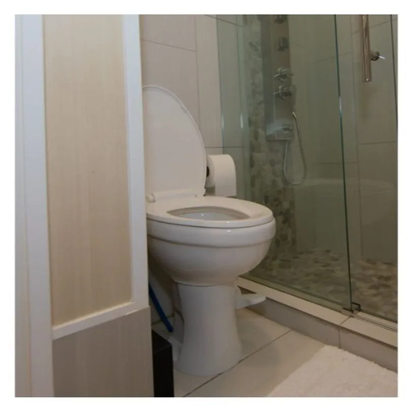 VALVE ASSEMBLY, TOILET (AM)